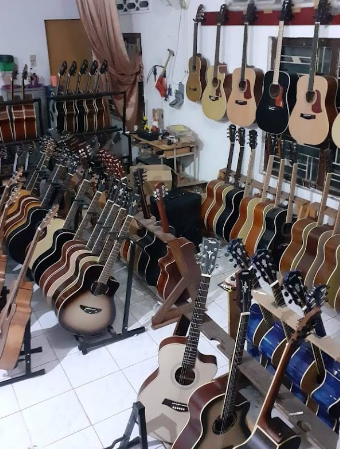 Bovis Guitar Store